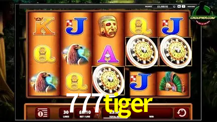 Descubra o Mundo do Cassino Online com 777tiger